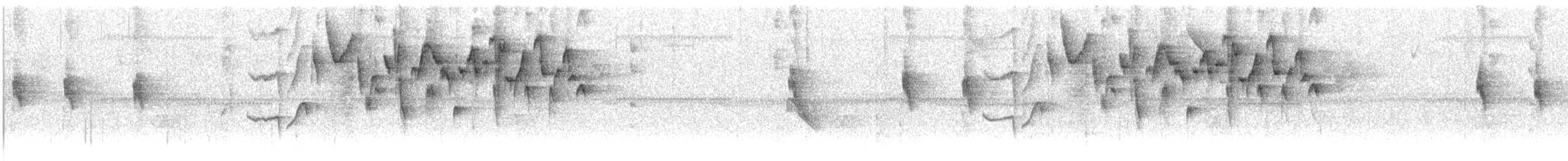 Mountain Wren - ML647126749