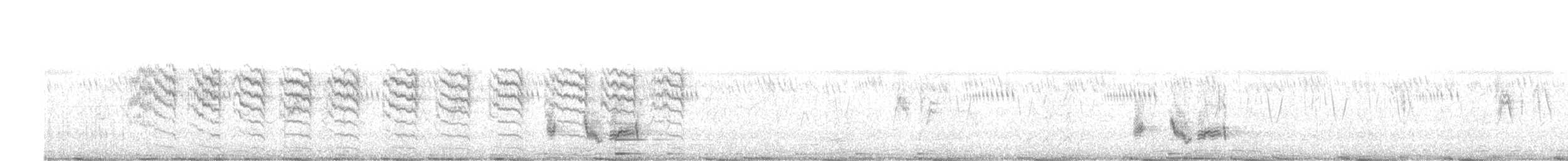 Bay-backed Shrike - ML647126839