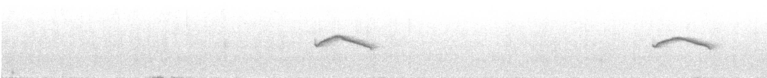 Chestnut-bellied Chat-Tyrant - ML647127023