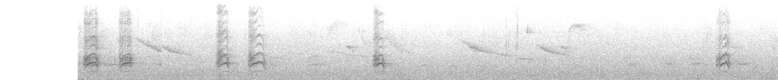 Mountain Cacique - ML647127063