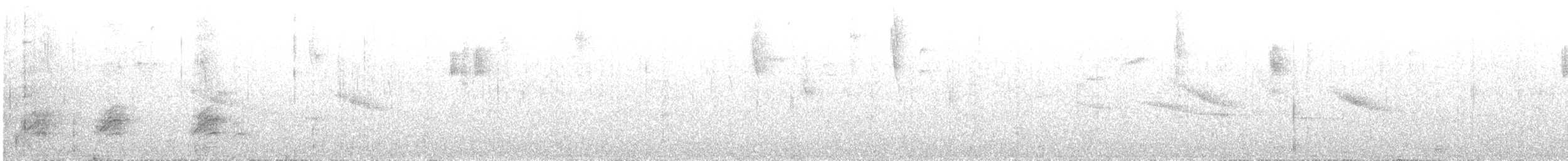 Mountain Cacique - ML647127064