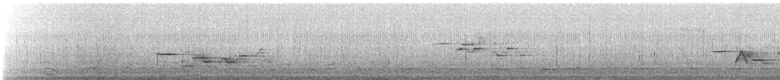 Hermit Thrush - ML647127574