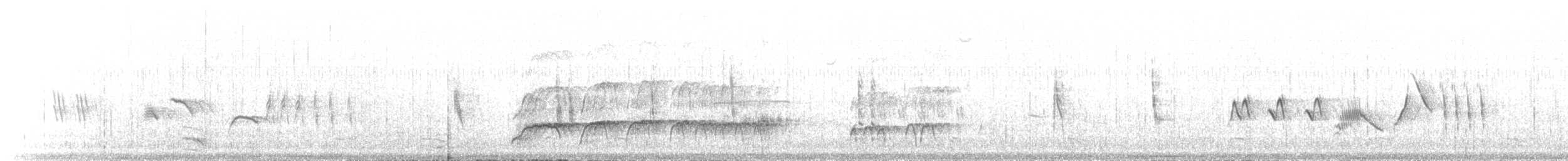 Black Oystercatcher - ML647127817