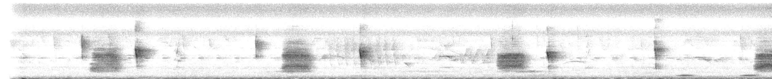 White-throated Crake - ML647128091