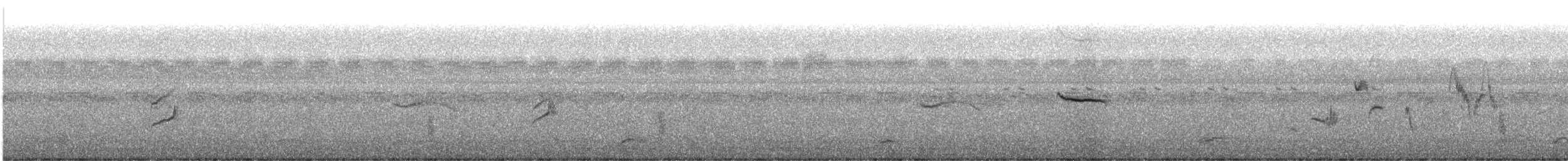 Ruiseñor Calíope - ML647128680