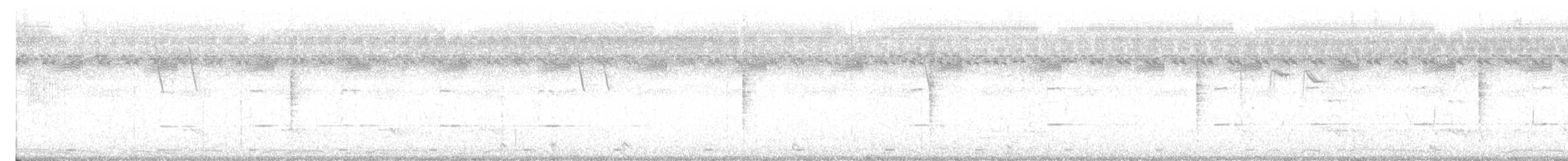 Francolín Gris - ML647128937