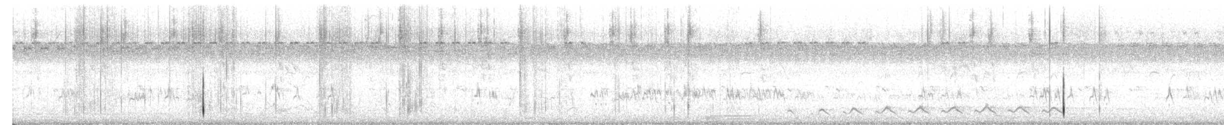 Asian Koel - ML647128989