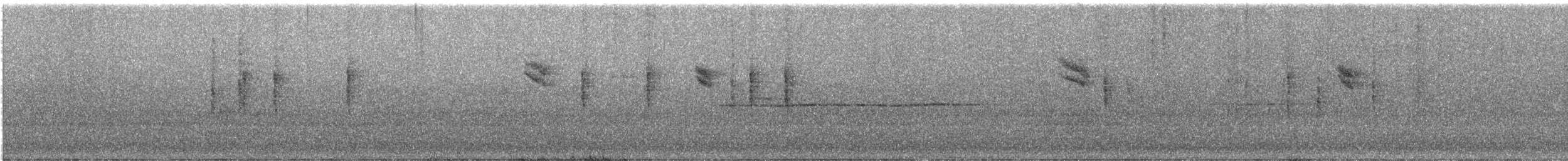 Spotted Flycatcher - ML647128997