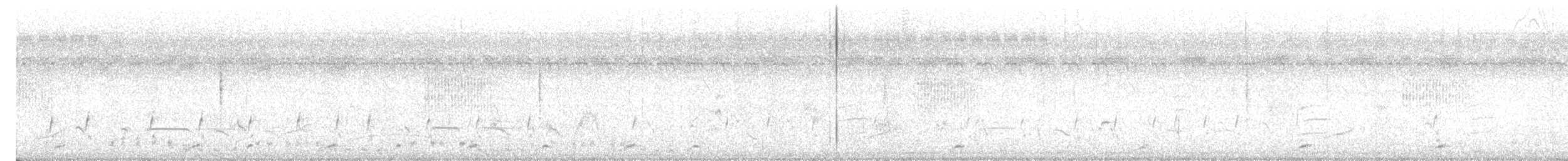 White-breasted Waterhen - ML647129028