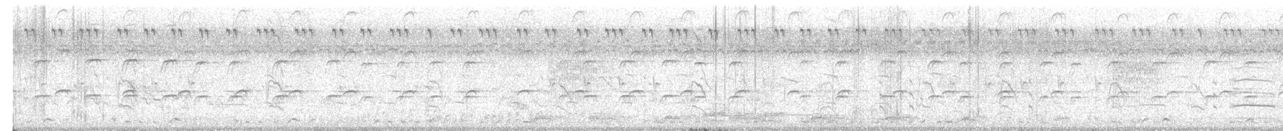 White-breasted Waterhen - ML647129029