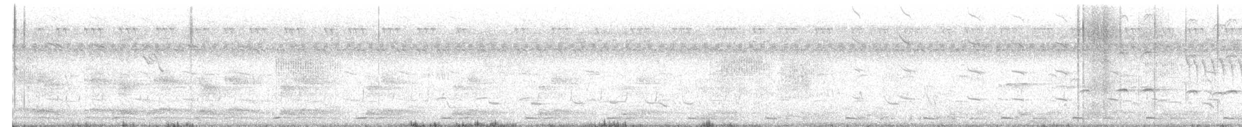 White-breasted Waterhen - ML647129031