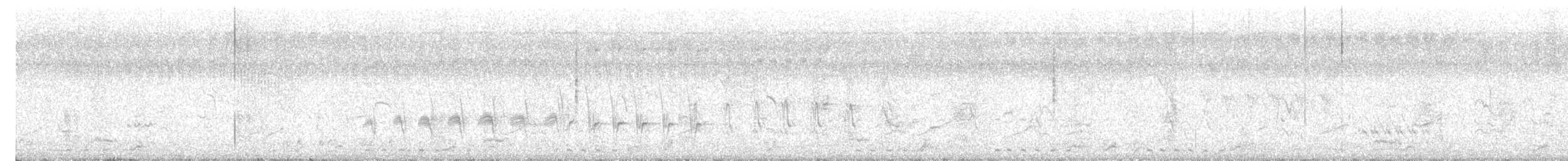 White-breasted Waterhen - ML647129032