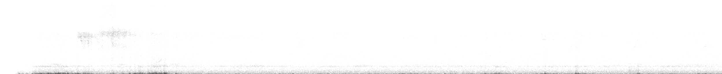 Malabar Gray Hornbill - ML647129155