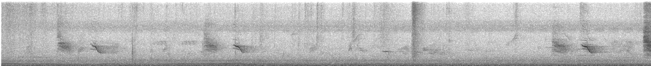 Black Drongo - ML647129250