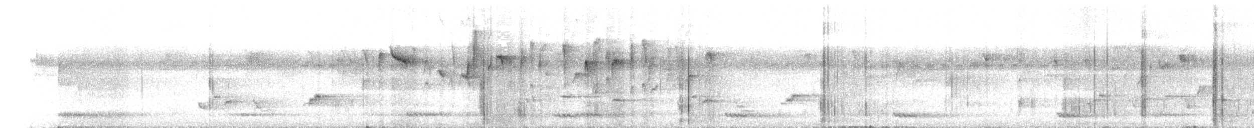 White-cheeked Barbet - ML647129471