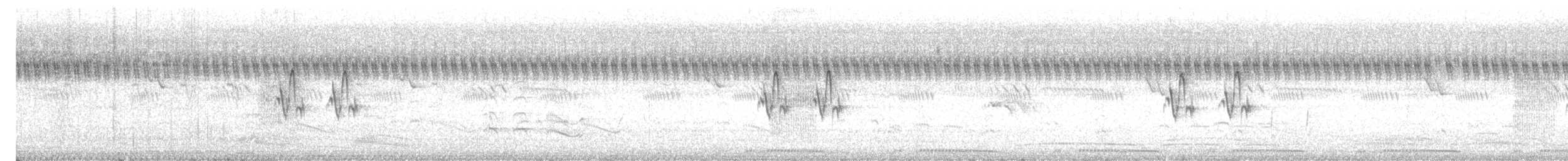 Ashy Prinia - ML647129586