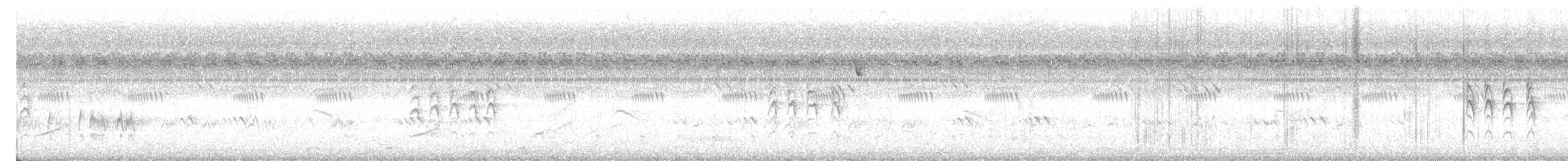 Ashy Prinia - ML647129592