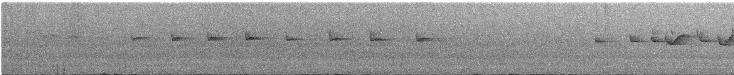 タンシキバシリ - ML647129630