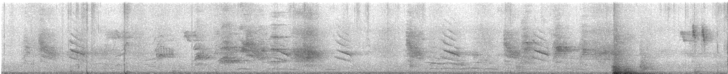 Black Drongo - ML647130198