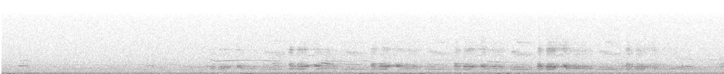 Manx Shearwater - ML647130249