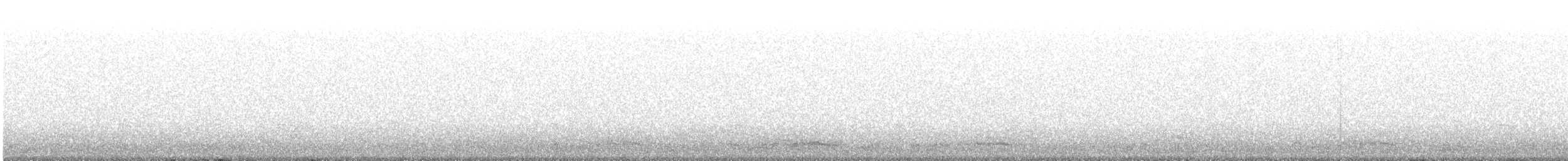 Manx Shearwater - ML647130650