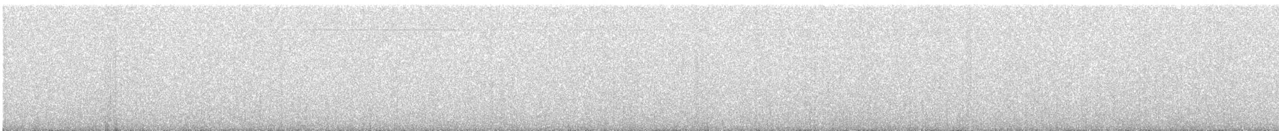 Asian Koel - ML647131080