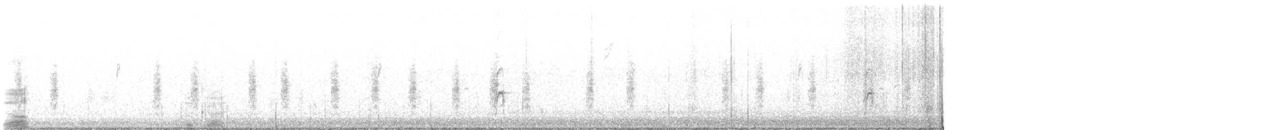 Chochín Criollo Norteño - ML647131159