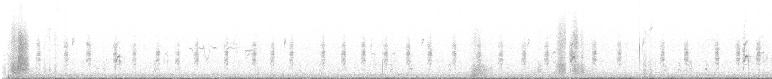 Chochín Criollo Norteño - ML647131160