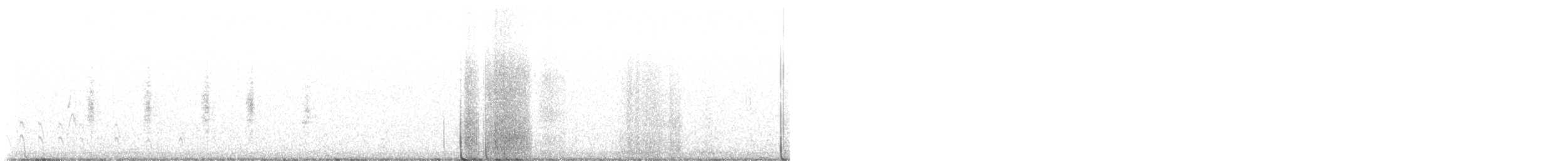 Chochín Criollo Norteño - ML647131161