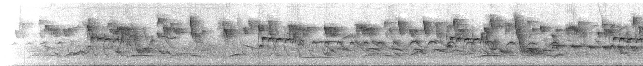 Southern Beardless-Tyrannulet - ML647132249