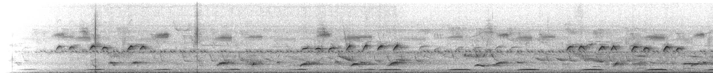Southern Beardless-Tyrannulet - ML647132367
