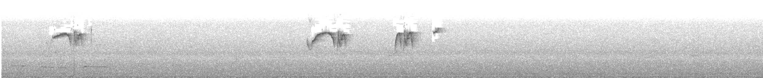 Chestnut-bellied Chat-Tyrant - ML647132811