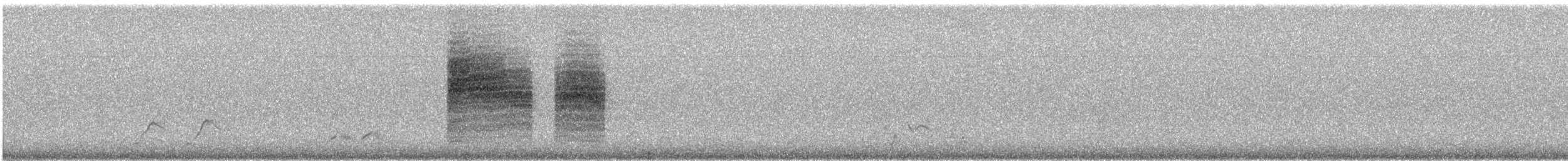 Black-tailed Gnatcatcher - ML647133796