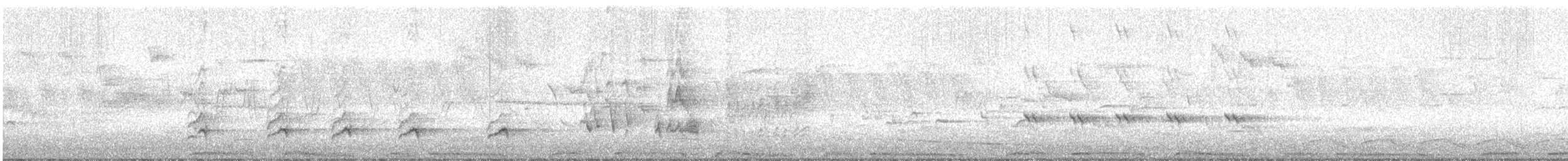 Common Wood-Pigeon (White-necked) - ML647133888