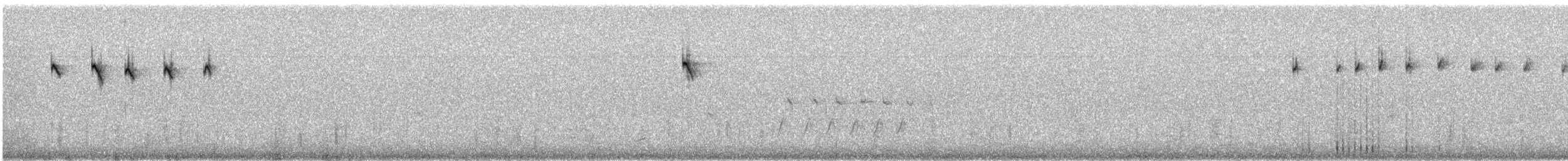 Schwarzkehlammer - ML647133996