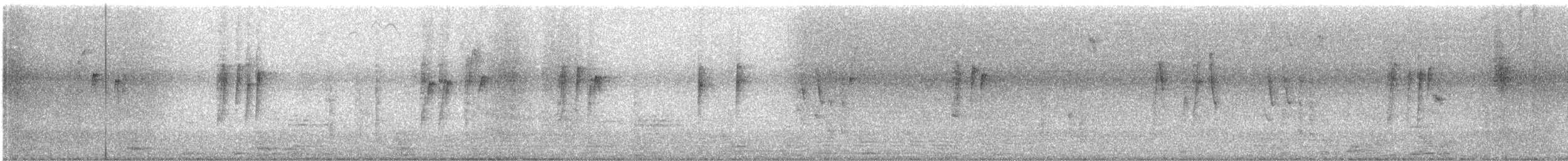 Grünschwanz-Nektarvogel - ML647134096