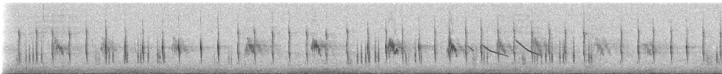 Strichelrückencanastero - ML647134162