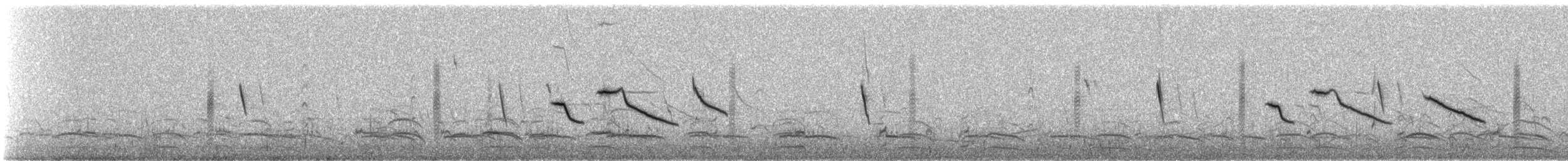 Morgenammer - ML647134175