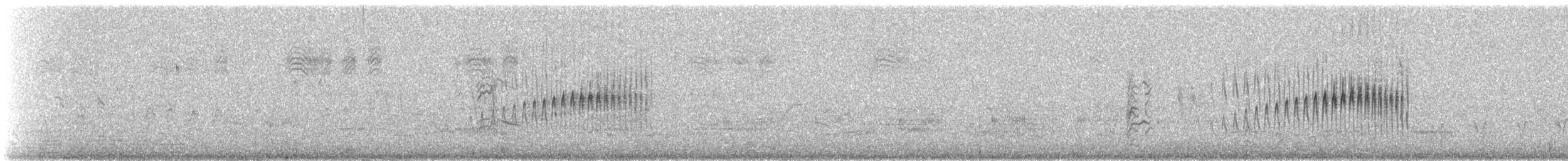 Strichelrückencanastero - ML647134180