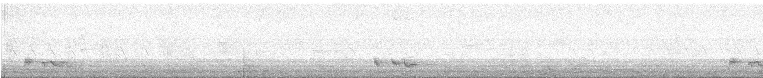 Rotsteißbülbül - ML647134281