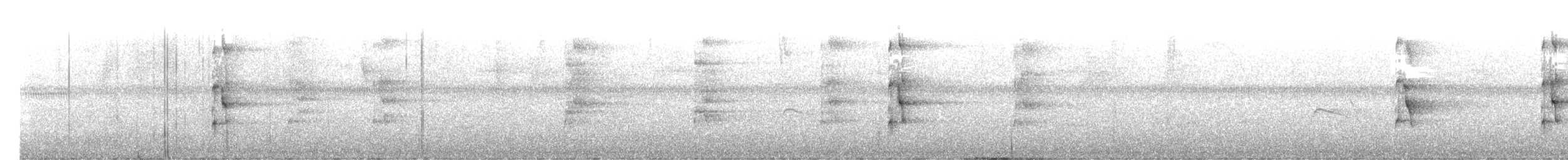 Bindenarassari - ML647134509