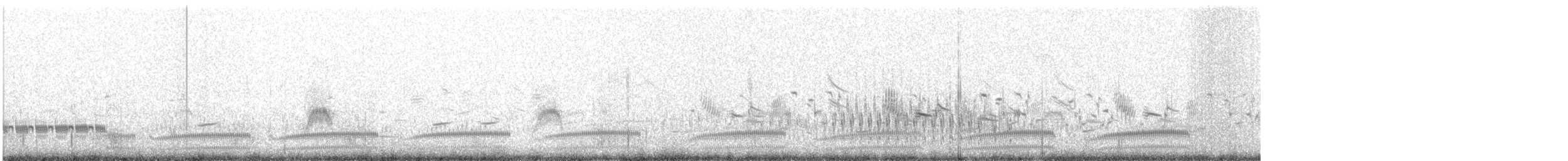 Kara Karınlı Kumkuşu (pacifica/arcticola) - ML647134669