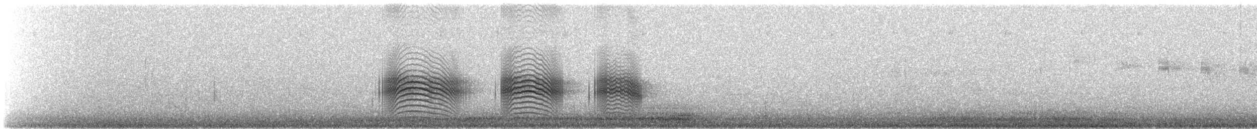 Arjantin Yaprak Kotingası - ML647134711