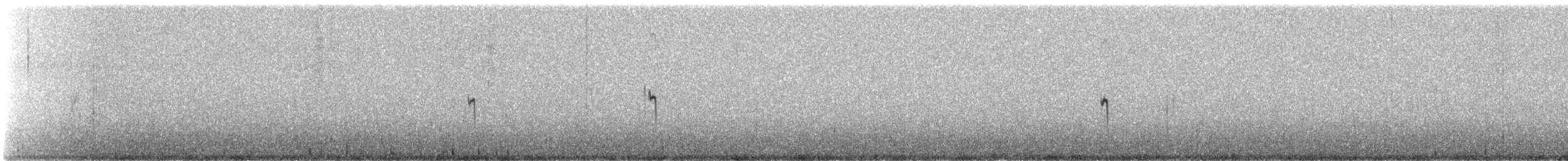 Puna Yer Tiranı - ML647134873