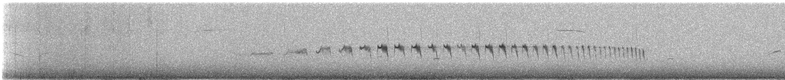 tanımsız Asthenes sp. - ML647134921
