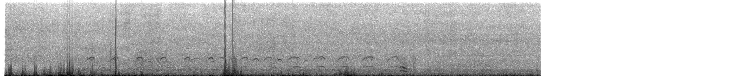 Batı Amerika Martısı - ML647134940