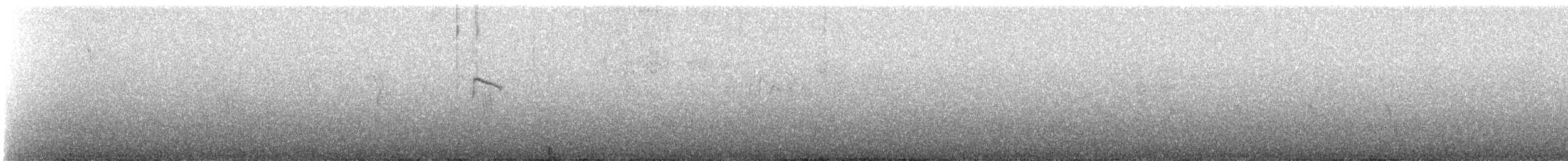 Piscuiz Gorjinegro - ML647135135