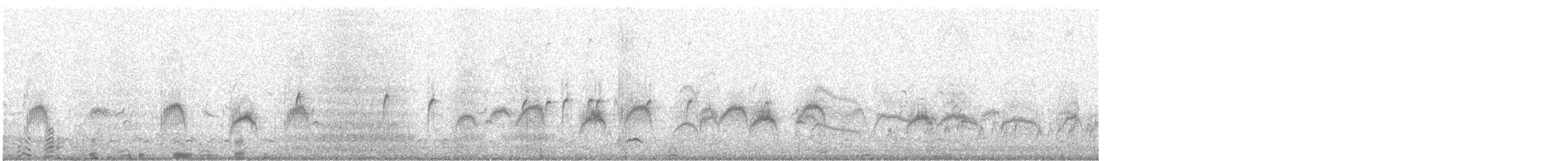 Thorshühnchen - ML647135181