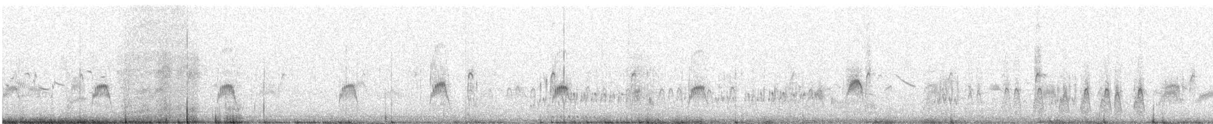 Thorshühnchen - ML647135184