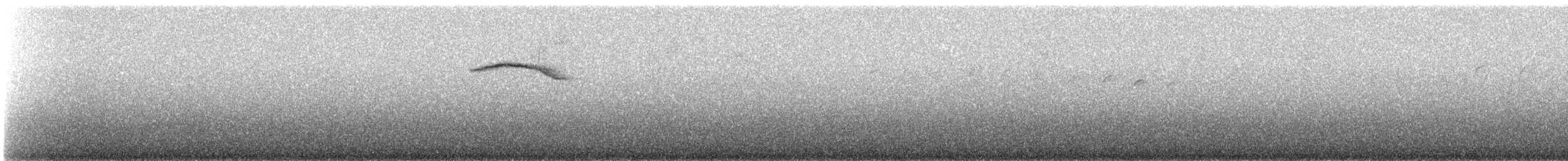 Maroon-belted Chat-Tyrant - ML647135216